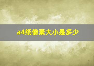 a4纸像素大小是多少