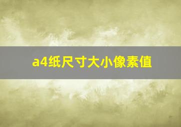 a4纸尺寸大小像素值