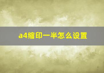 a4缩印一半怎么设置