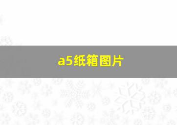 a5纸箱图片