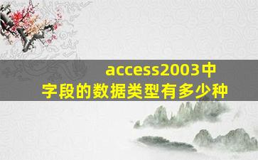 access2003中字段的数据类型有多少种