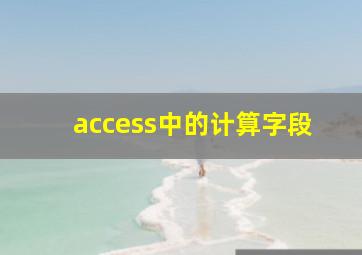 access中的计算字段