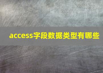 access字段数据类型有哪些