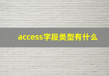 access字段类型有什么