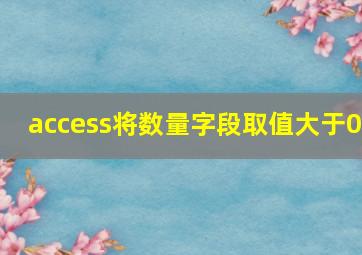 access将数量字段取值大于0