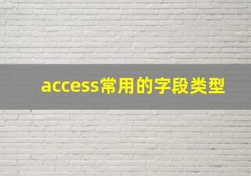 access常用的字段类型