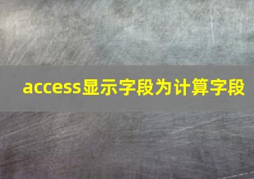 access显示字段为计算字段