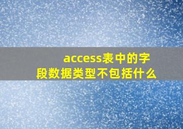 access表中的字段数据类型不包括什么