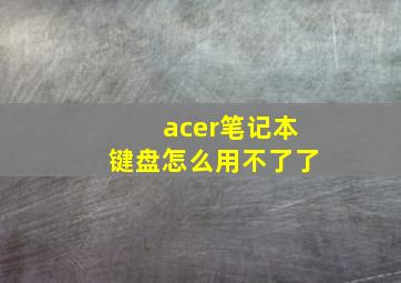 acer笔记本键盘怎么用不了了