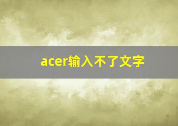 acer输入不了文字