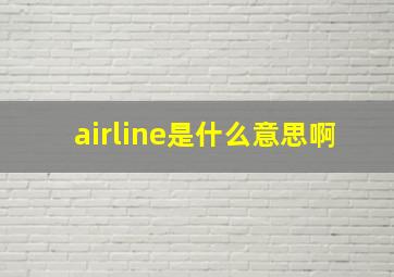 airline是什么意思啊