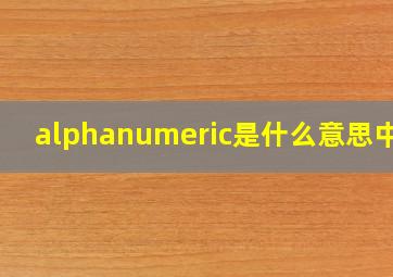 alphanumeric是什么意思中文