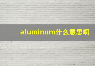 aluminum什么意思啊