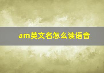 am英文名怎么读语音