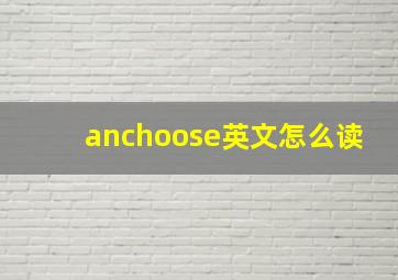 anchoose英文怎么读