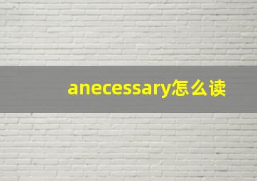 anecessary怎么读