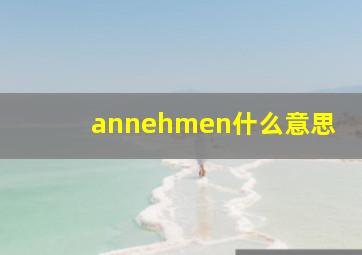 annehmen什么意思