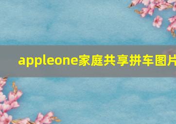 appleone家庭共享拼车图片