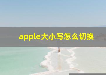 apple大小写怎么切换