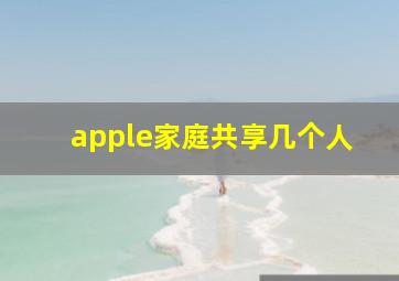 apple家庭共享几个人