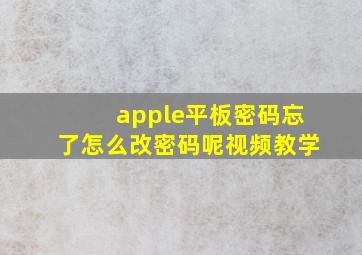 apple平板密码忘了怎么改密码呢视频教学