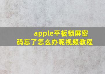 apple平板锁屏密码忘了怎么办呢视频教程