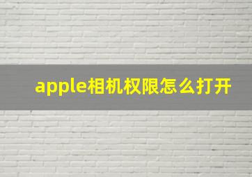 apple相机权限怎么打开