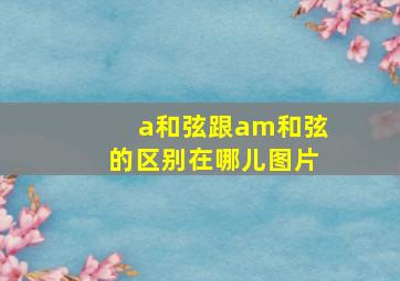 a和弦跟am和弦的区别在哪儿图片