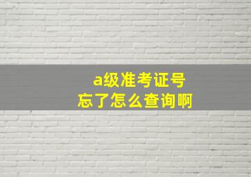 a级准考证号忘了怎么查询啊