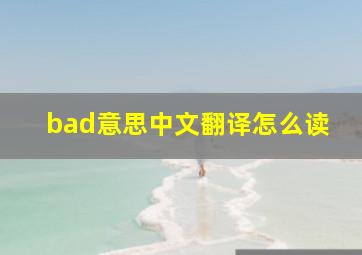 bad意思中文翻译怎么读