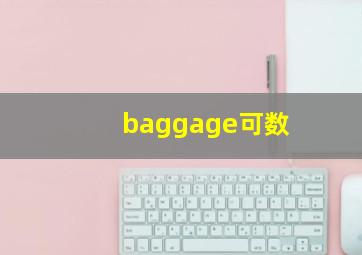 baggage可数