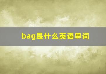 bag是什么英语单词