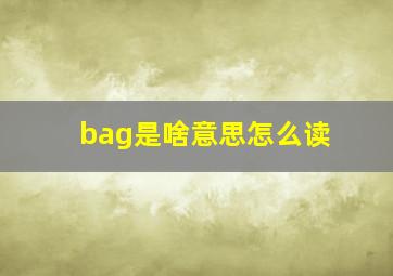 bag是啥意思怎么读