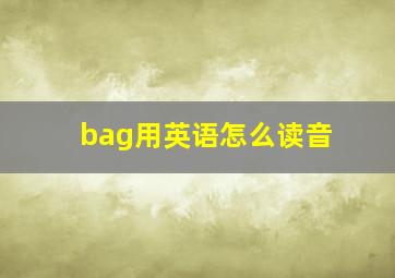 bag用英语怎么读音