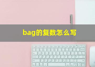 bag的复数怎么写