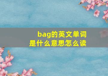 bag的英文单词是什么意思怎么读