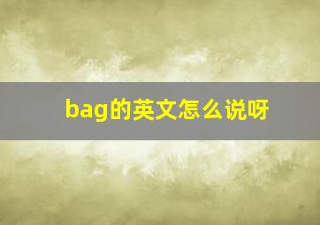 bag的英文怎么说呀