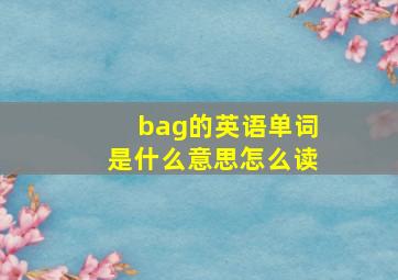 bag的英语单词是什么意思怎么读