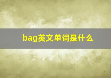 bag英文单词是什么