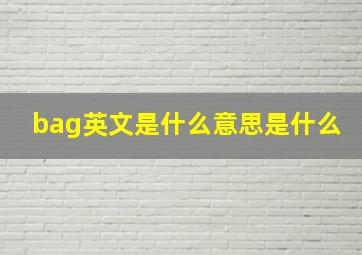 bag英文是什么意思是什么