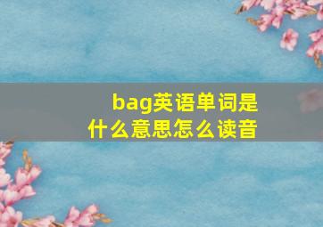 bag英语单词是什么意思怎么读音