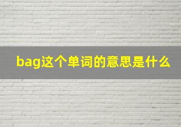 bag这个单词的意思是什么