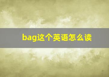 bag这个英语怎么读