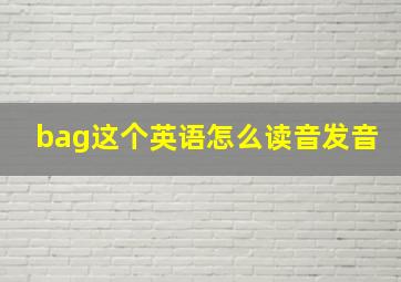 bag这个英语怎么读音发音