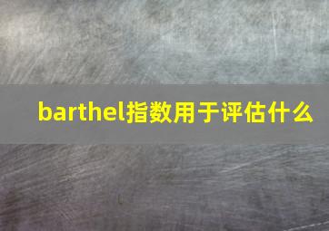 barthel指数用于评估什么