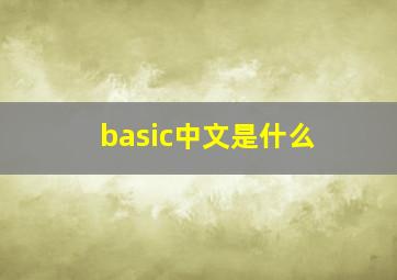 basic中文是什么