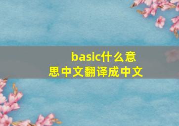 basic什么意思中文翻译成中文