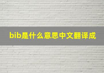 bib是什么意思中文翻译成