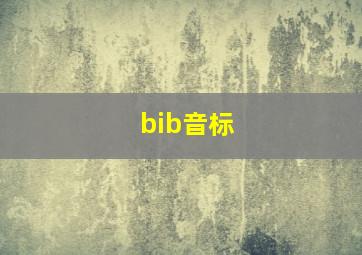 bib音标