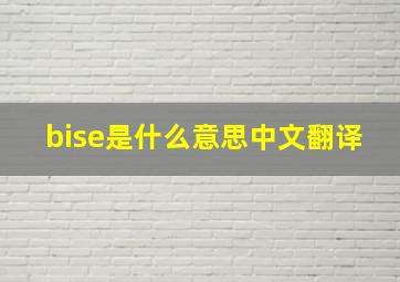 bise是什么意思中文翻译